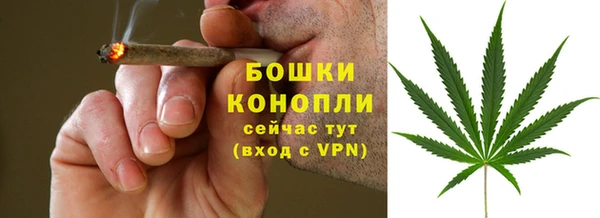 амф Аркадак
