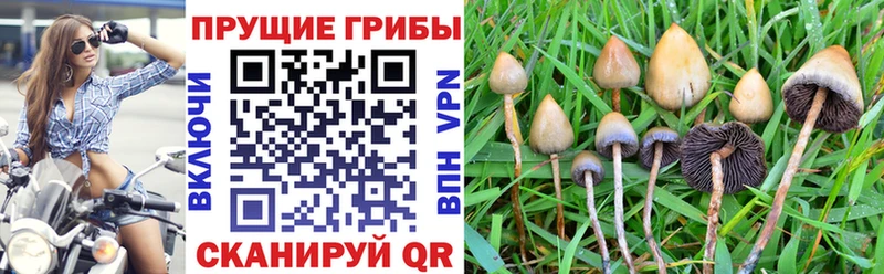 Псилоцибиновые грибы ЛСД  купить   ОМГ ОМГ сайт  Нововоронеж 