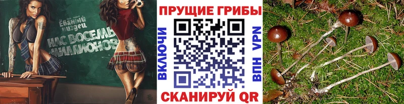 Псилоцибиновые грибы MAGIC MUSHROOMS Нововоронеж