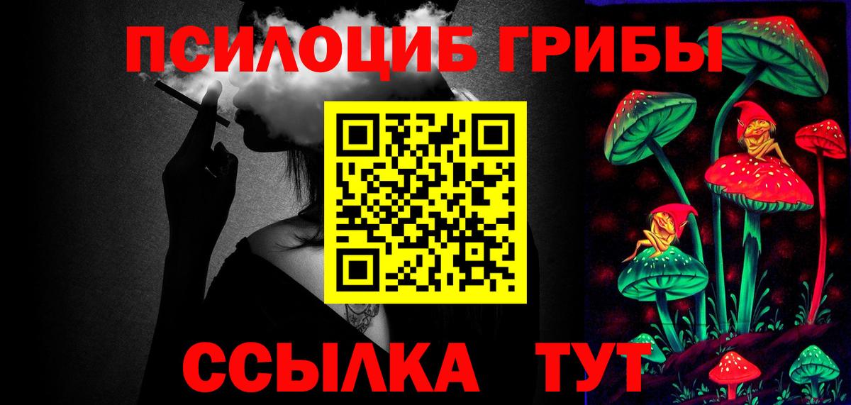 Нововоронеж  Псилоцибиновые грибы Cubensis  Вход с VPN 