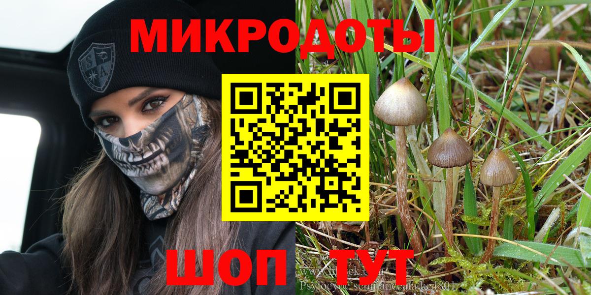 Псилоцибиновые грибы MAGIC MUSHROOMS Нововоронеж